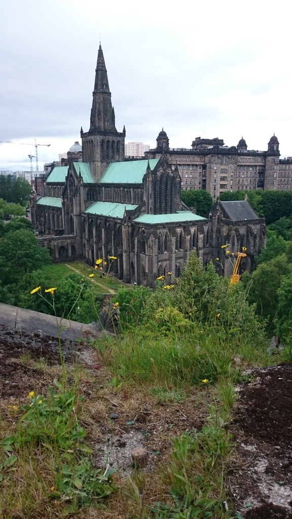 Lunchtime views: Glasgow Cathedral viewed from the top of a mausoleum